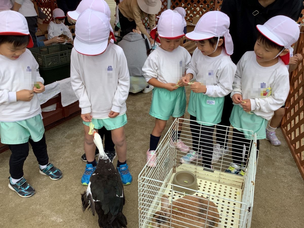 (全園児)幼稚園が動物園に!?!