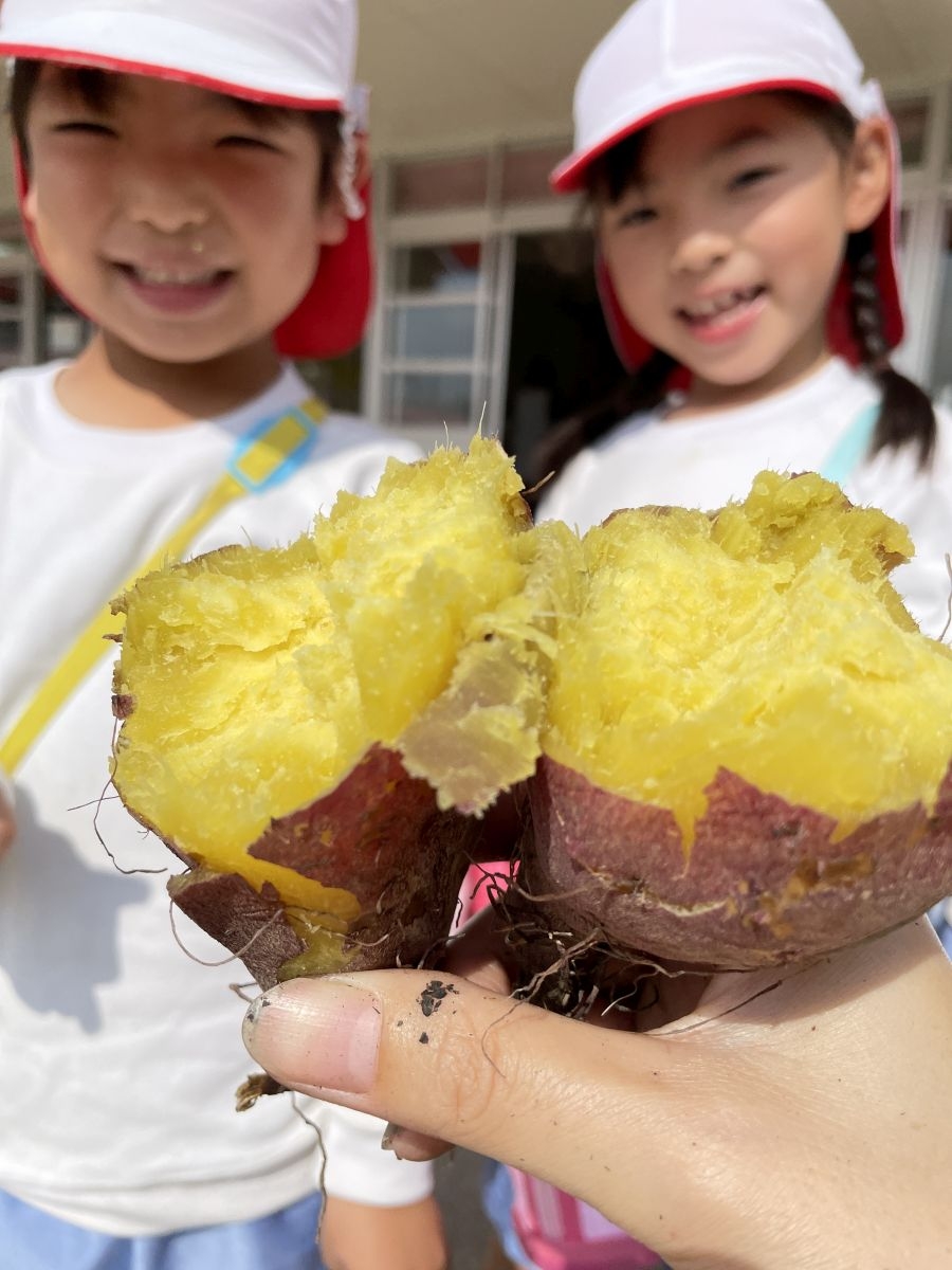(全園児)焼き芋パーティー!いらっしゃい!