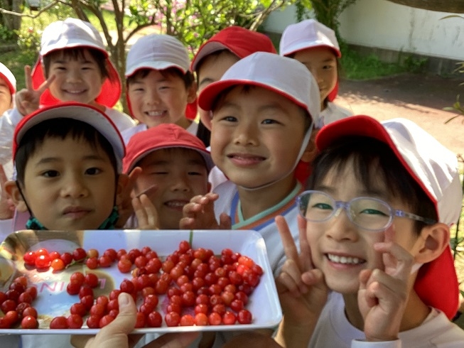さくらんぼ大豊作♡