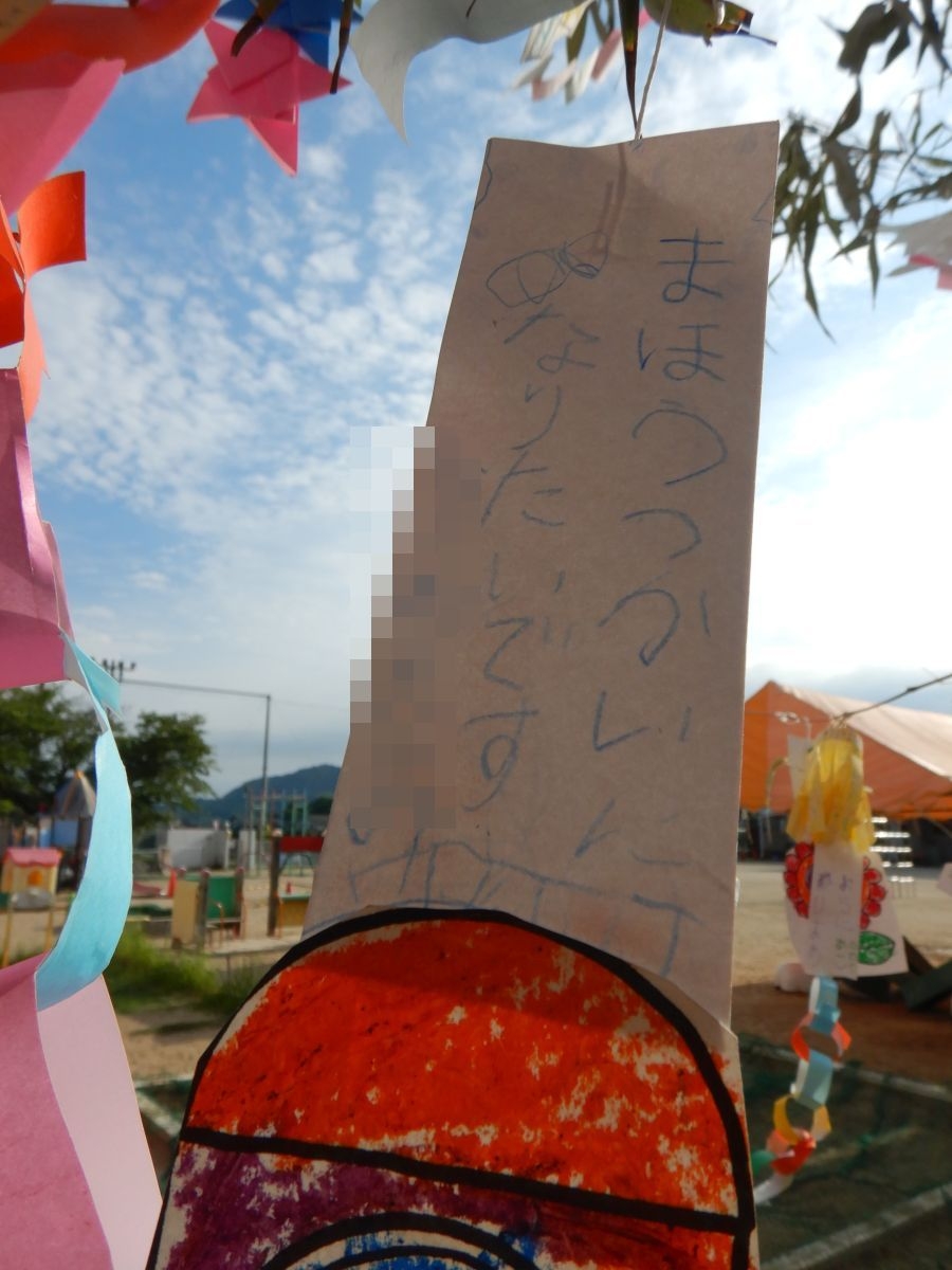 8542.jpg