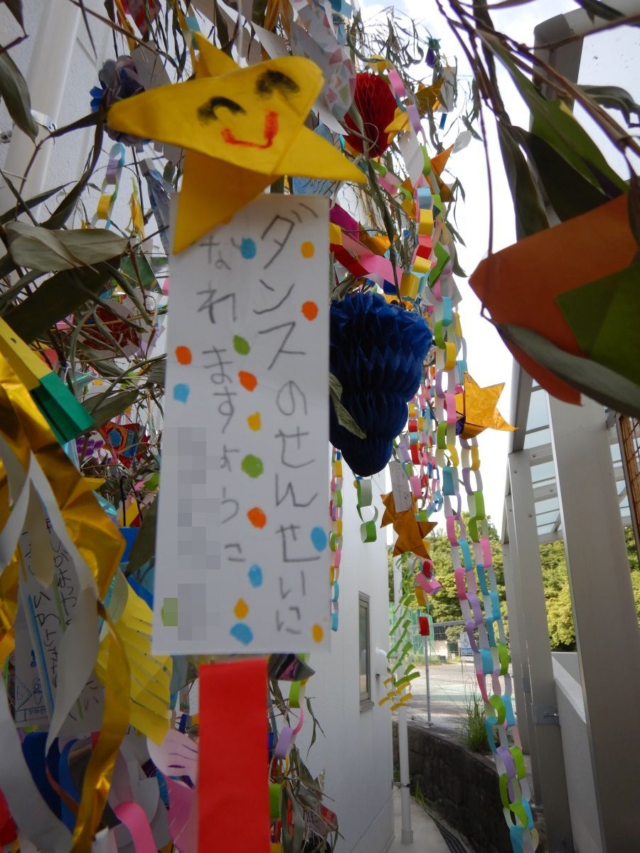 8549.jpg