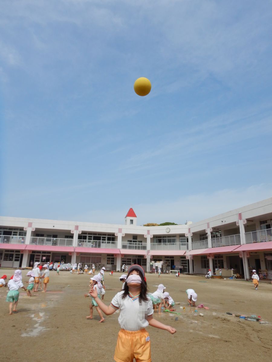 8449.jpg