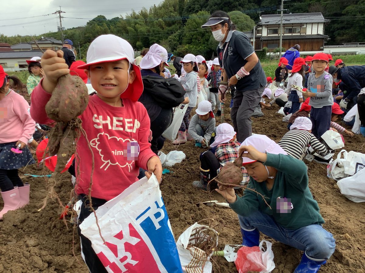 【年長】芋ほり!