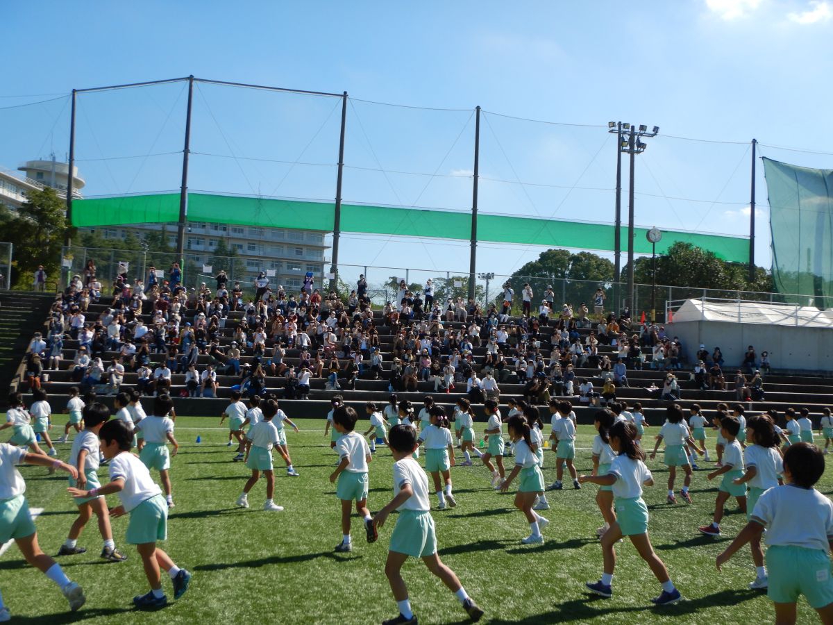 8181.jpg