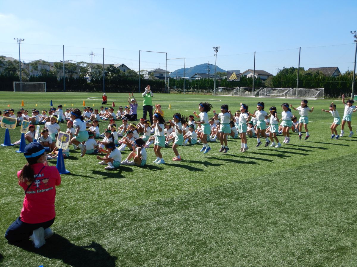 8194.jpg