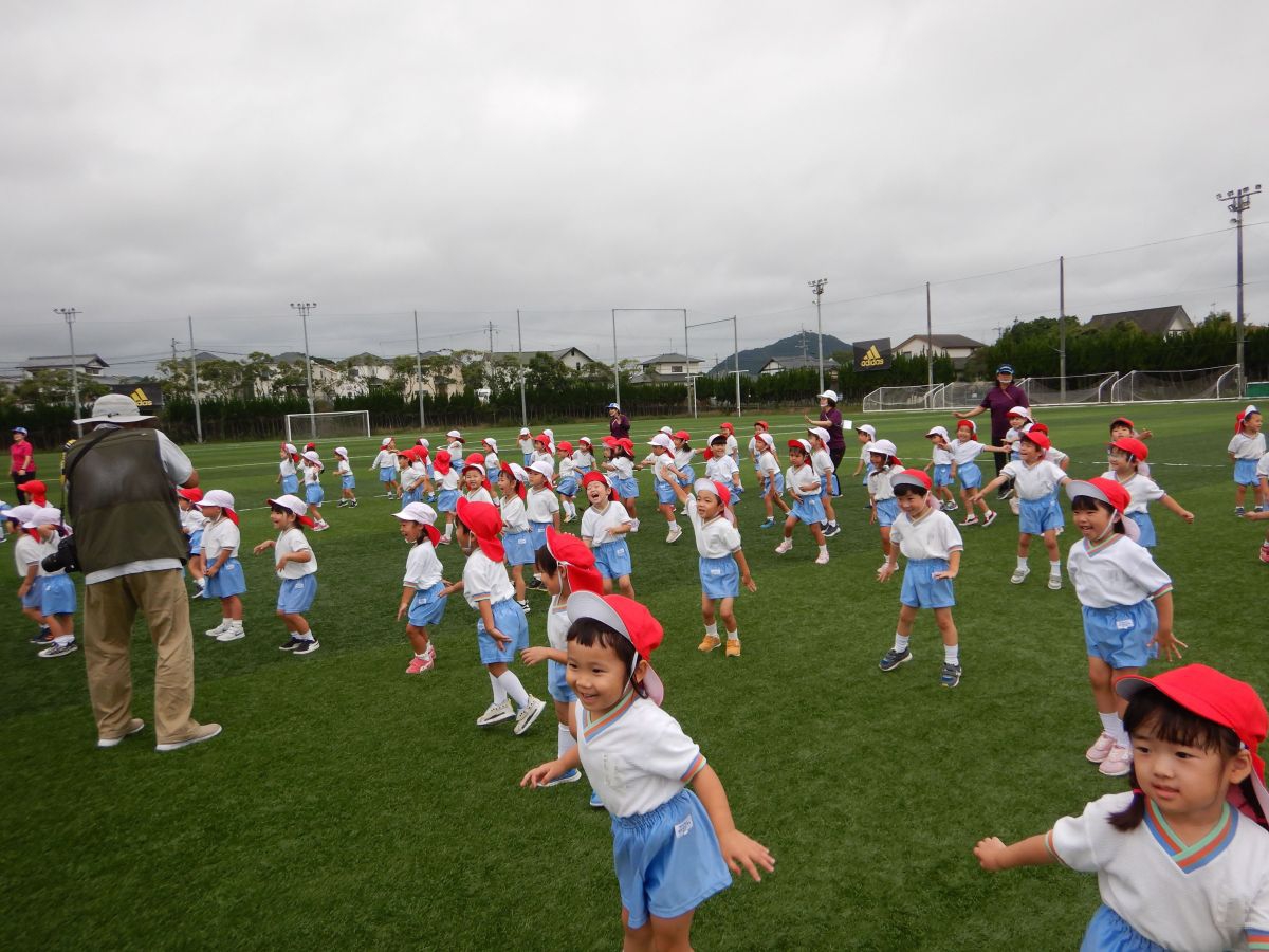 8151.jpg