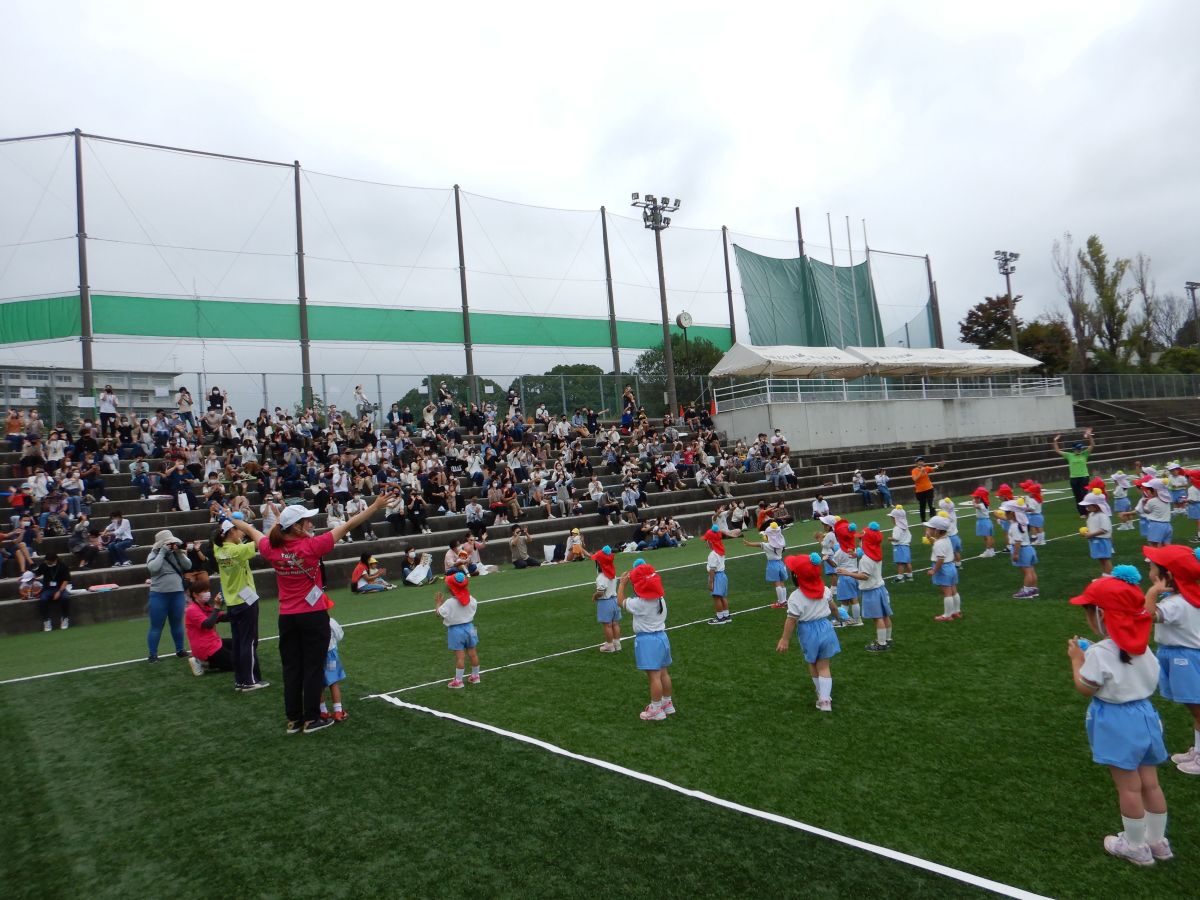 8179.jpg