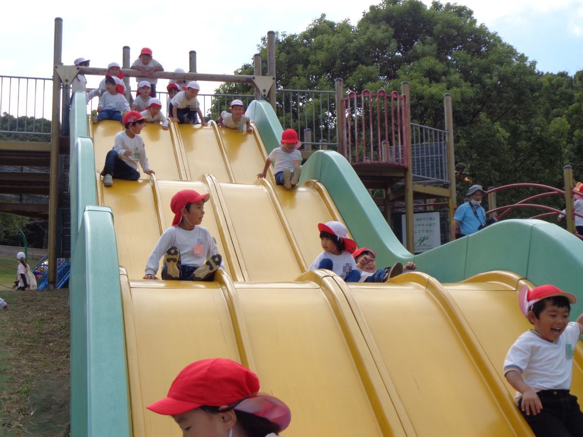 7355.jpg