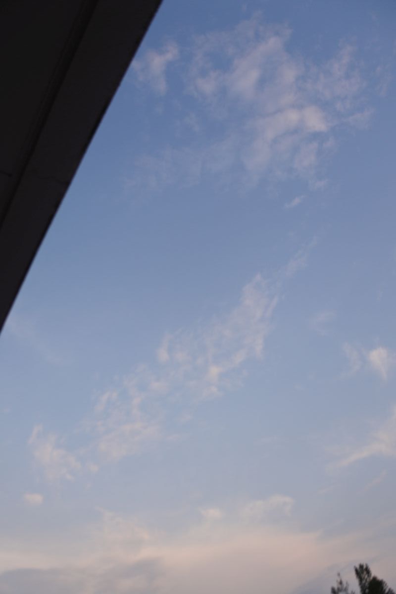 7192.jpg