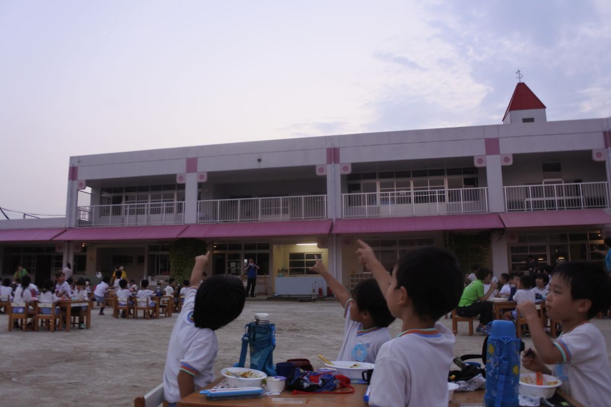 7197.jpg