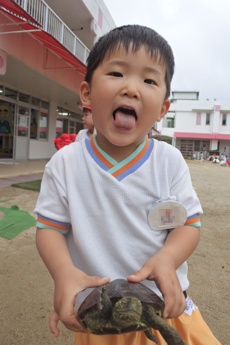 7148.jpg