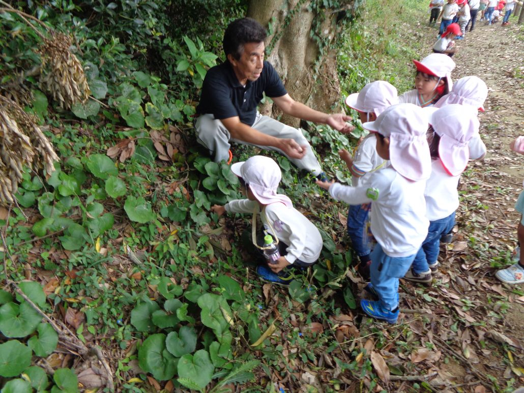 (年少)どんぐり拾ったよー!遠足いったよ!
