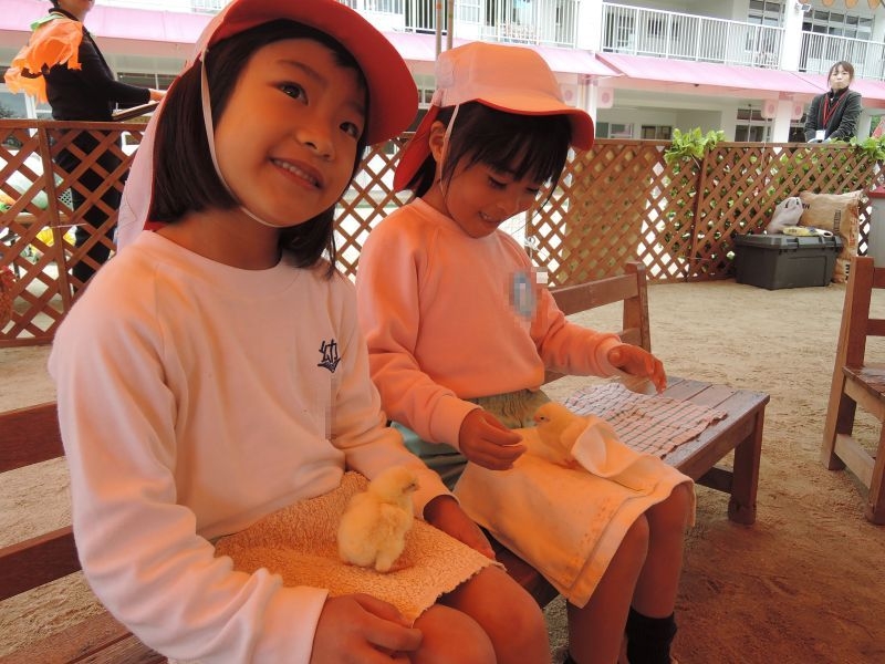 【移動動物園】幼稚園が動物園になったぁー