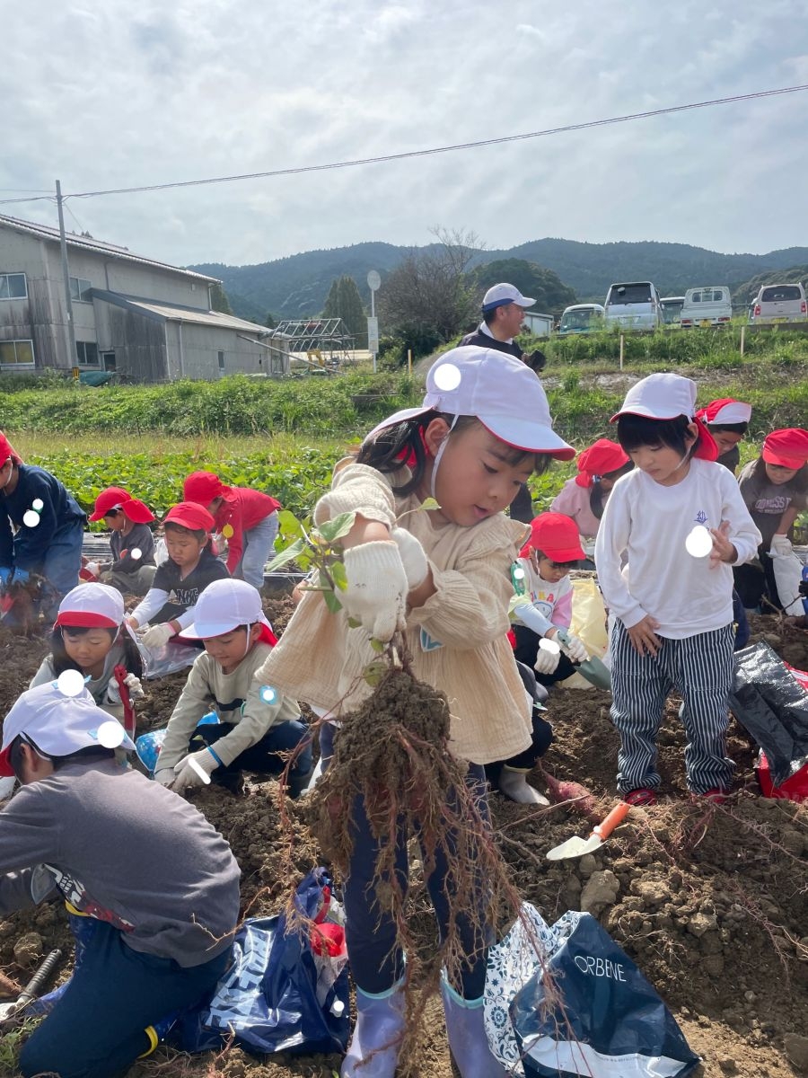 【年長児】芋掘りだぁ～