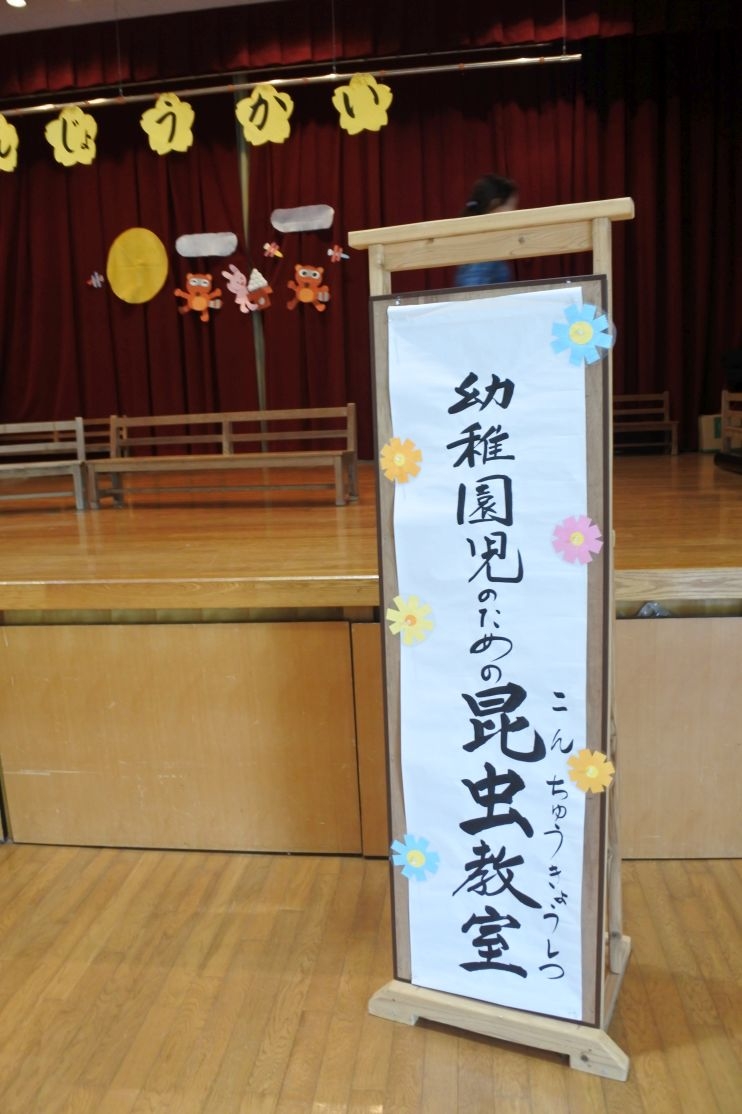 (年長組対象)【昆虫教室!】かぶとむしお君がやってきた!みつばちお君も～