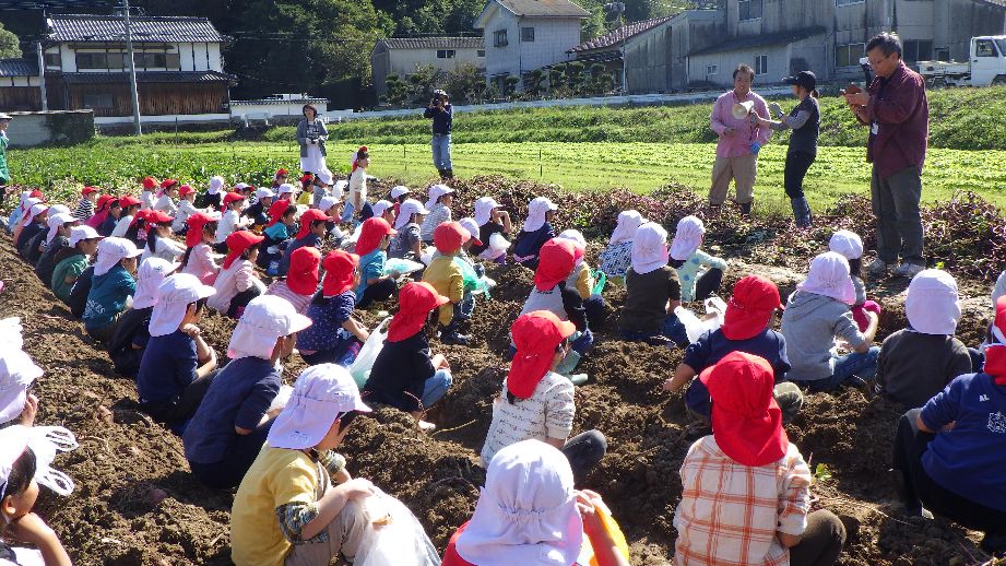 (年長)おいもほり!