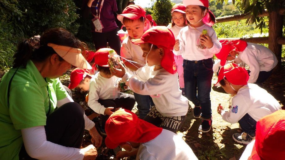 (年少)どんぐり拾い♪