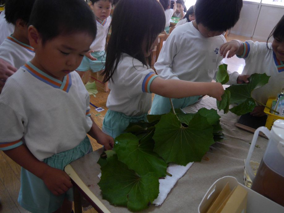 さくらぐみをのぞいてみよう!
