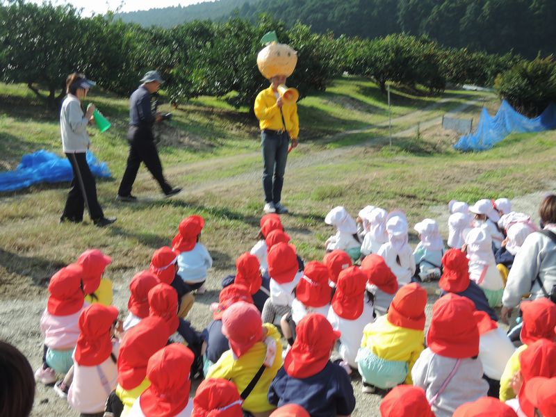 楽しかったね!みかん狩り遠足!(年少)
