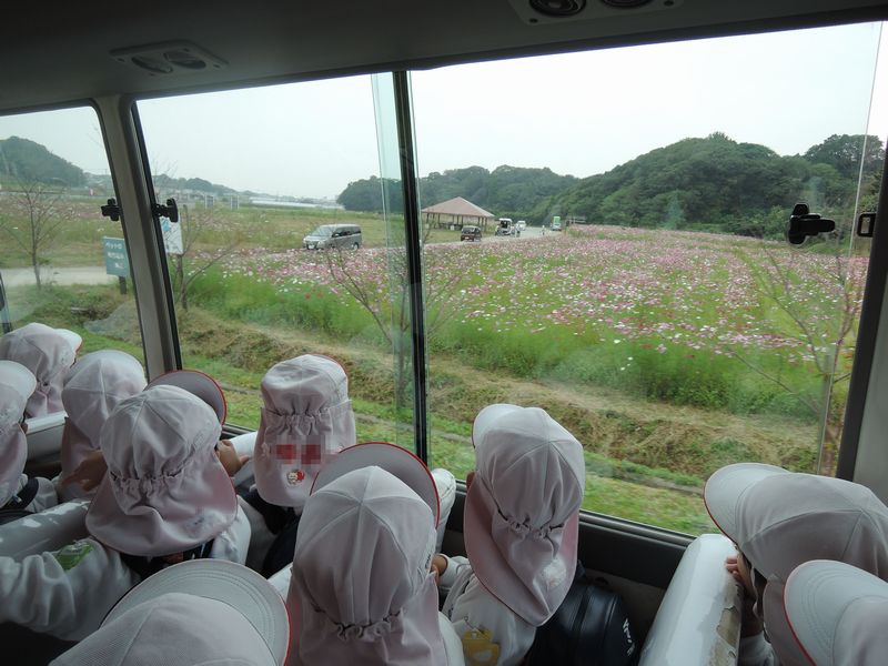 年中組:園外保育『なまずの郷』