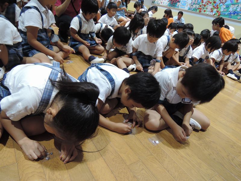 科学実験教室(年長希望者のみ)